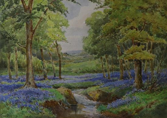 Teresa Stannard (1898-1947) The Bluebell Wood 24 x 34cm